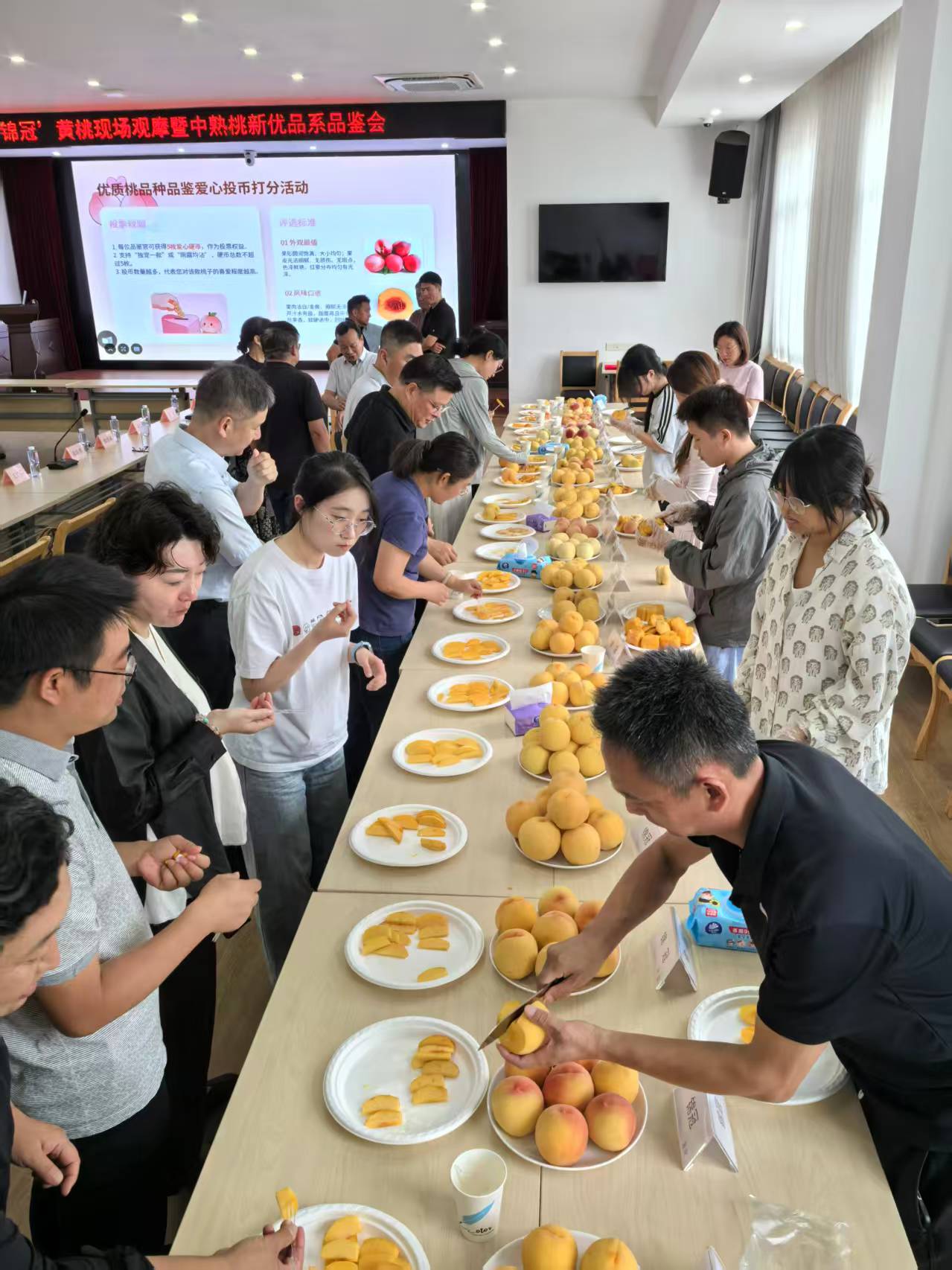 微信图片_20260724123627