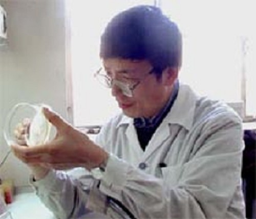 薄天岳　研究员　甘蓝遗传育种