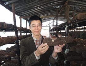食用菌研究所---尚晓冬