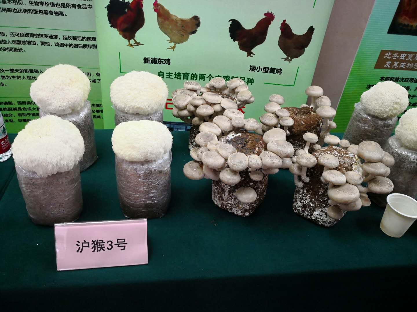 cf7fdf2c72074a3c8446bb8af31fe23f.Jpeg cf7fdf2c72074a3c8446bb8af31fe23f.Jpeg