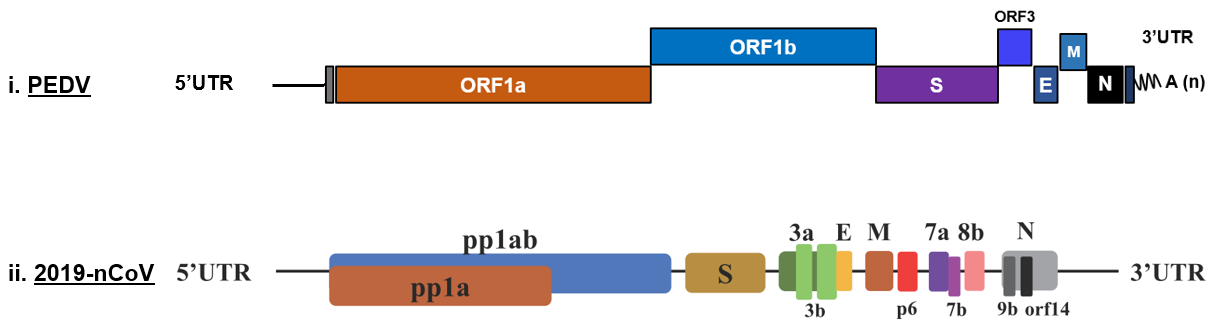 db5f429af97b49b5a04b068fa973704d.Png