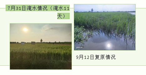66e11d81535f4909a19a75a0c2f3d193.Png