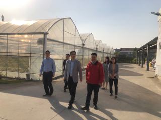 我院生物所赴青浦上海太来果蔬专业合作社调研并举行乡村振兴科技支撑行动授牌仪式