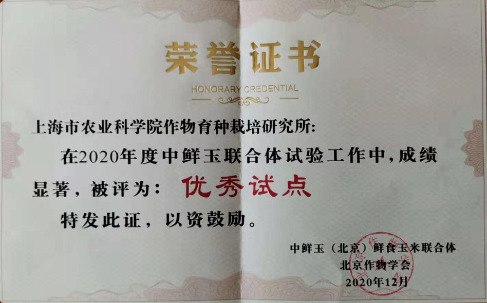 05ce50f2422f42ac91878ae55e4ac782.Png