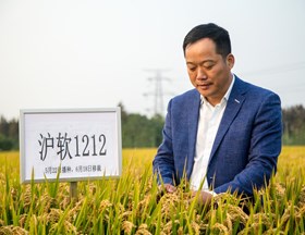 作物育种栽培研究所--吴书俊（2018-2020年度）