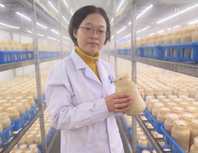 食用菌研究所--张津京（2020-2022年度）