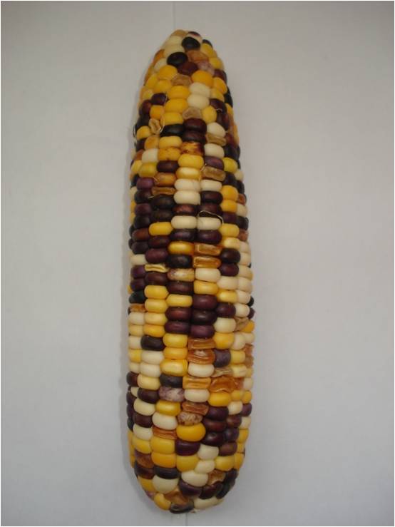 06a5610d87194961bab43ef470d2e0b1.jpg 06a5610d87194961bab43ef470d2e0b1.jpg