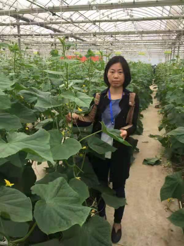 2082cbaf212049ce9d4ea229dfe33b4e.jpg 2082cbaf212049ce9d4ea229dfe33b4e.jpg