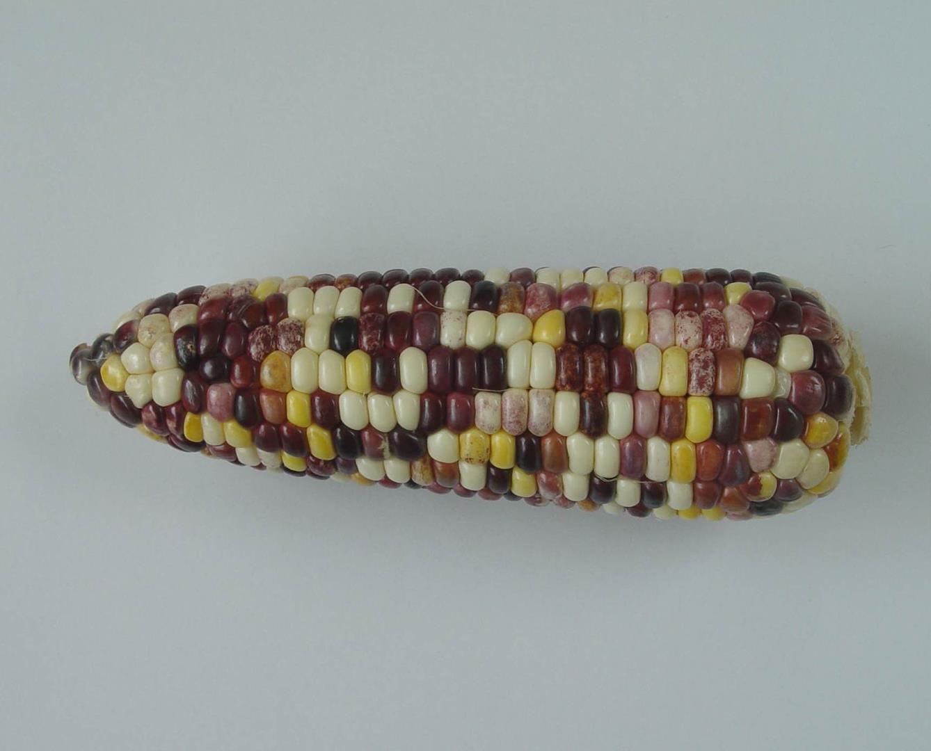 21aaf7038a0c4ee18f602dd36f0230b4.jpg 21aaf7038a0c4ee18f602dd36f0230b4.jpg