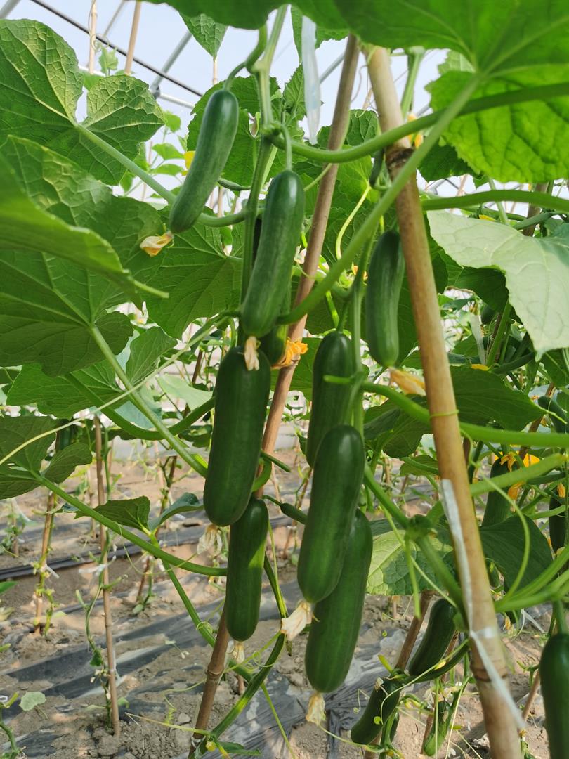 2efef5ed70854878b6426e5fa3e4e918.jpg 2efef5ed70854878b6426e5fa3e4e918.jpg