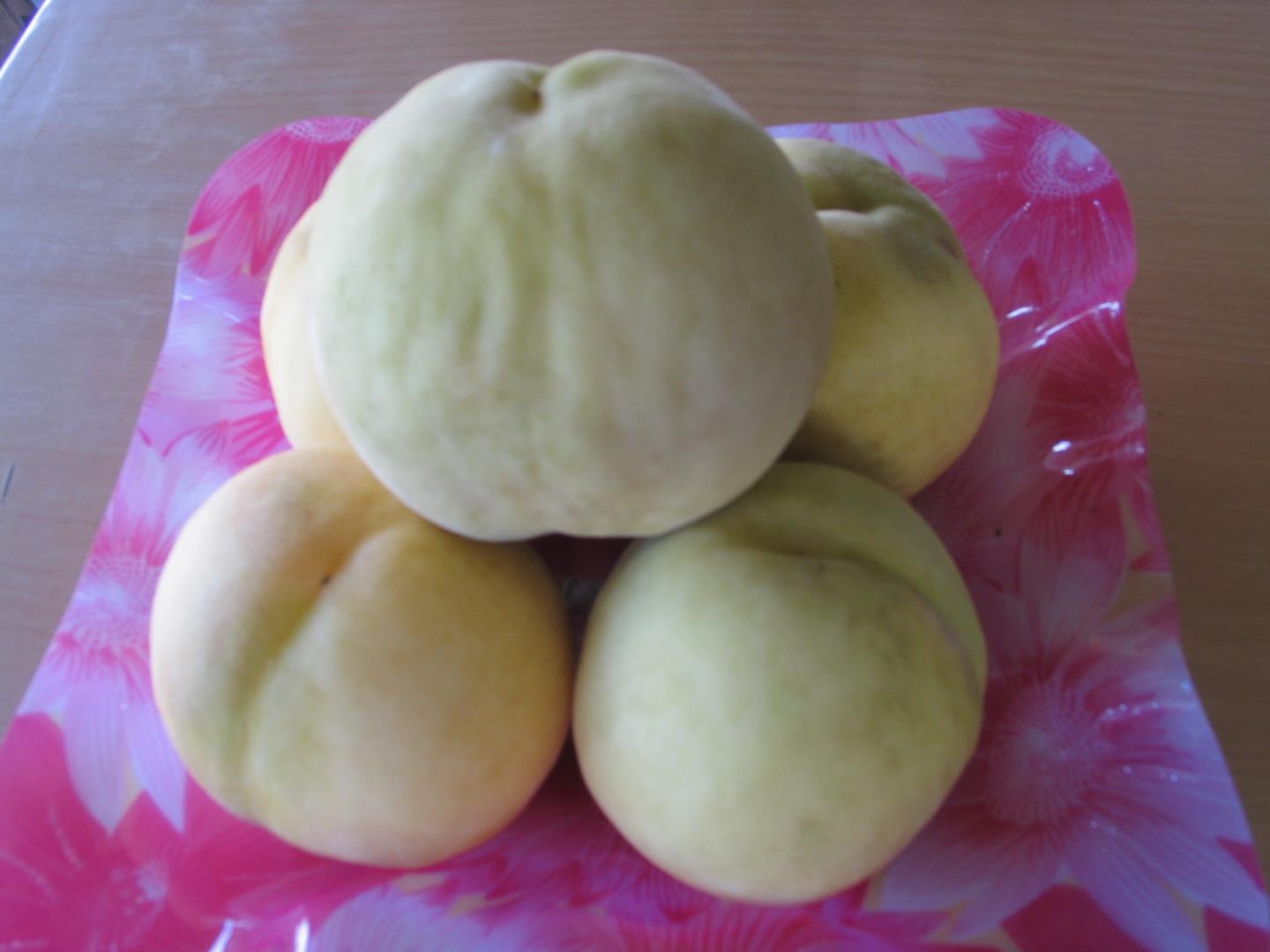 78267de8e6a24bcba42b88e7b157a360.jpg 78267de8e6a24bcba42b88e7b157a360.jpg