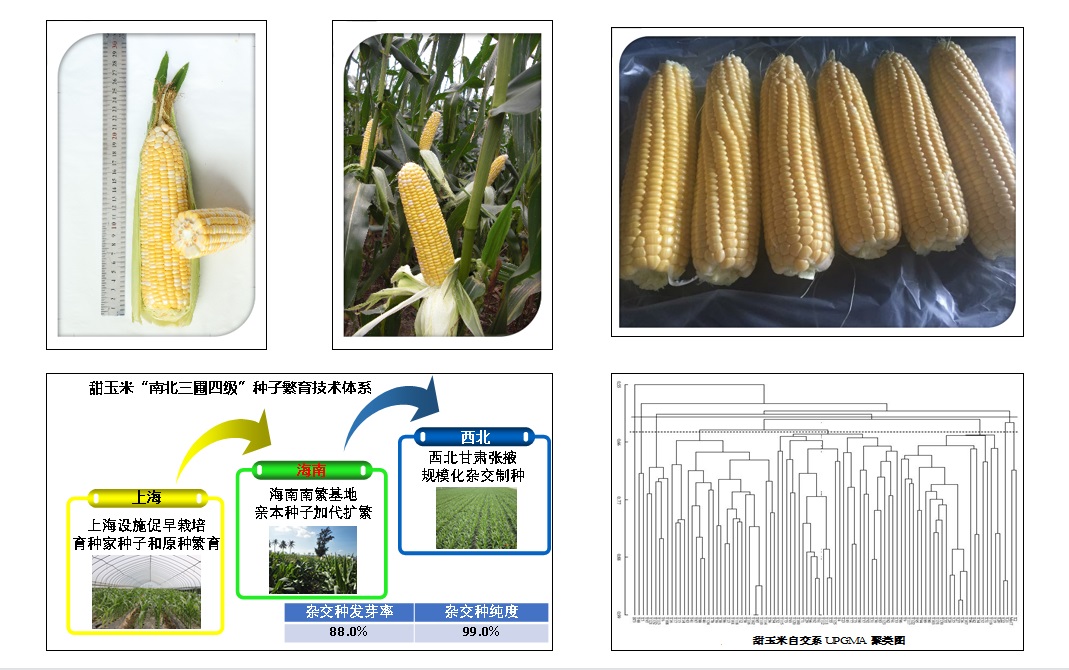 7c03778c90e44d45a724341e4bc2aa07.jpg 7c03778c90e44d45a724341e4bc2aa07.jpg