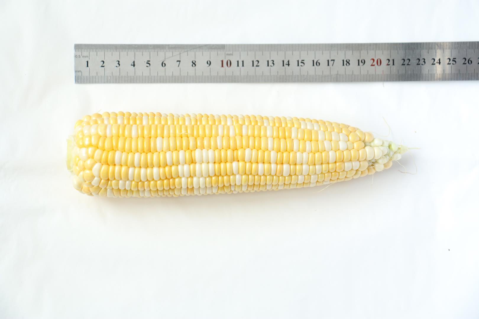 8e87ceece67f491293f849bd1f173793.JPG 8e87ceece67f491293f849bd1f173793.JPG