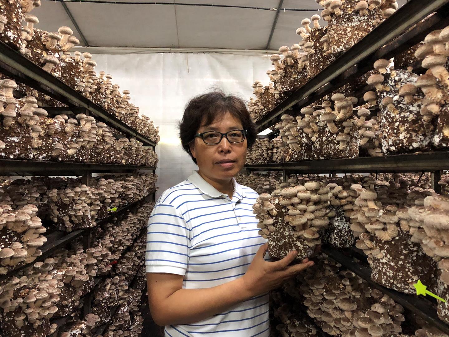 8ebc376b3b5a4835b633a39a3a58d2a2.jpg 8ebc376b3b5a4835b633a39a3a58d2a2.jpg