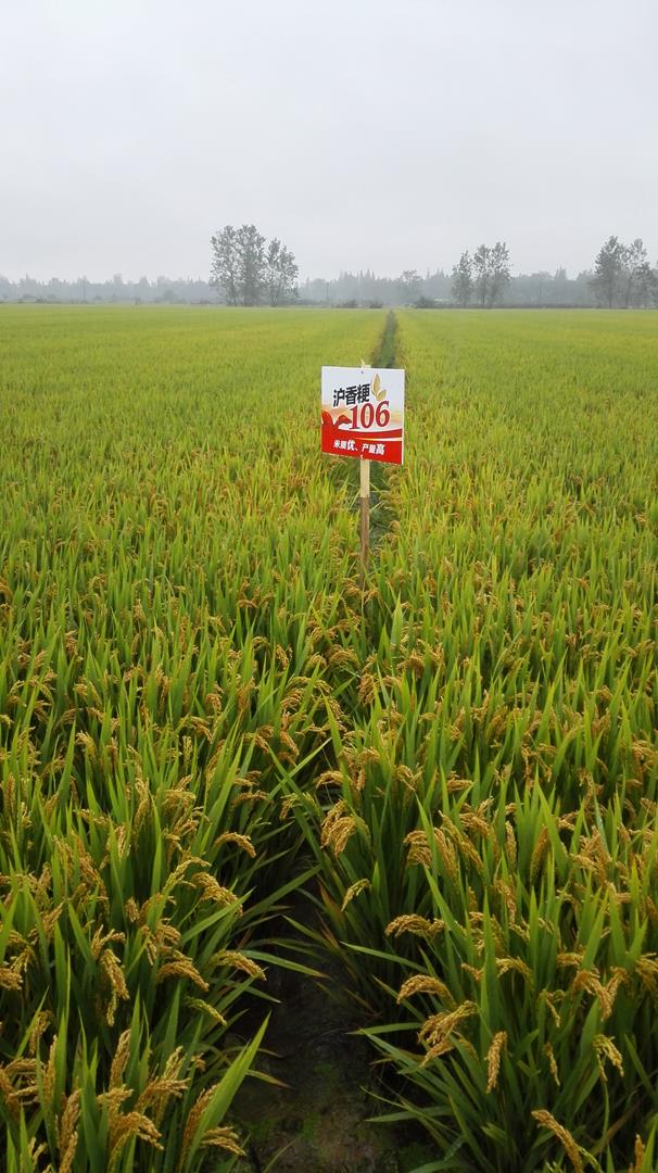 8fc8b3b1823b46609987a9f3007384f7.jpg 8fc8b3b1823b46609987a9f3007384f7.jpg