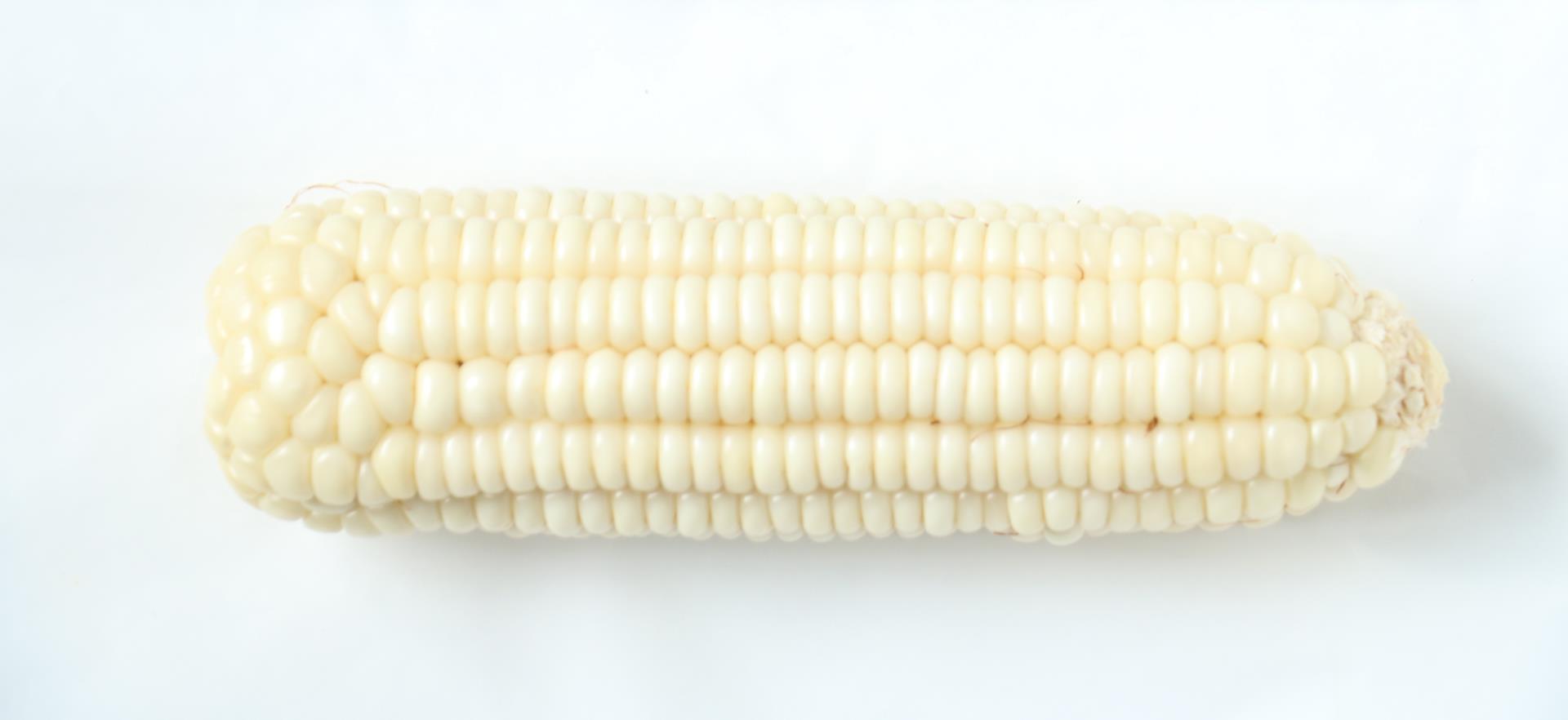 b6488077060142f4ab320291c7ae4dbc.jpg b6488077060142f4ab320291c7ae4dbc.jpg