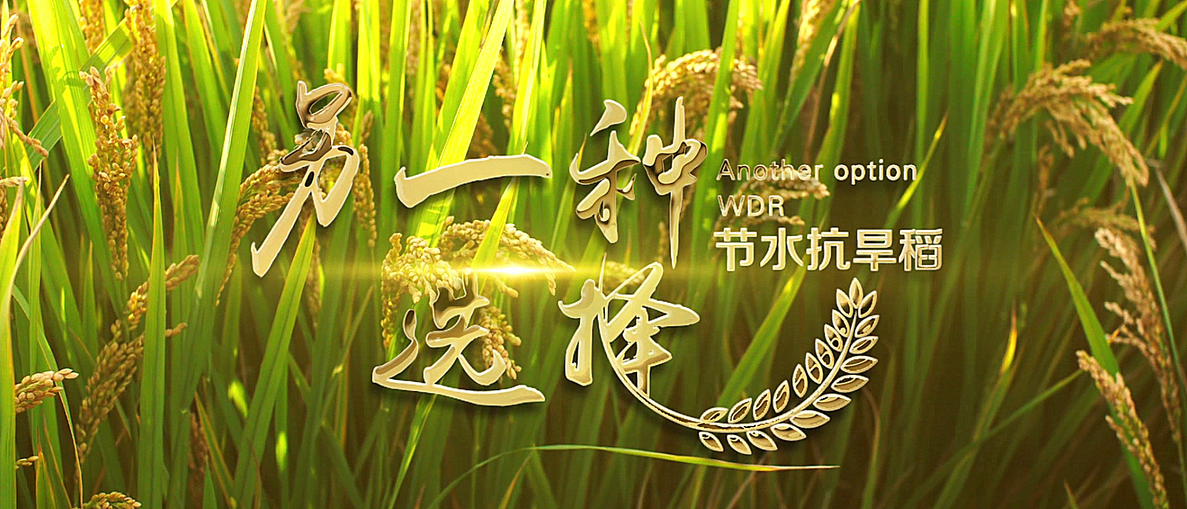 d201cb5de88a4597bbad9a0f0ac8b2ec.jpg d201cb5de88a4597bbad9a0f0ac8b2ec.jpg