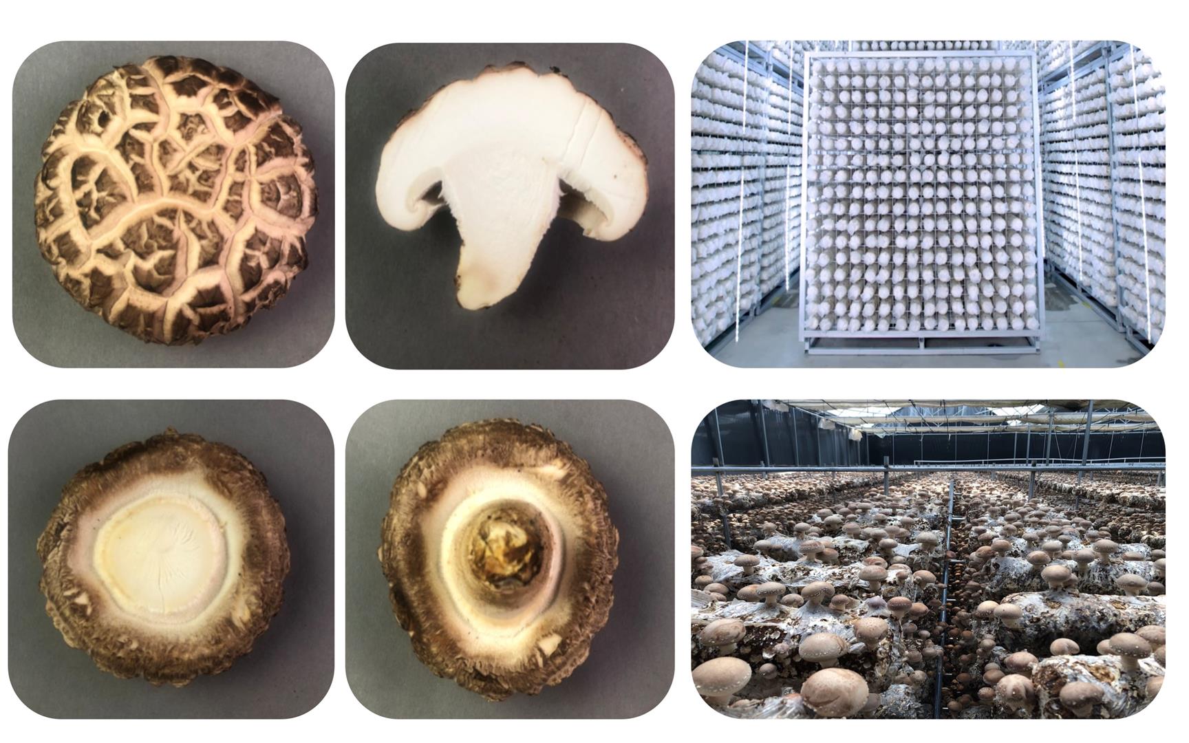 d5b080cdb1a5456cbaeda7dd94ea9067.jpg d5b080cdb1a5456cbaeda7dd94ea9067.jpg