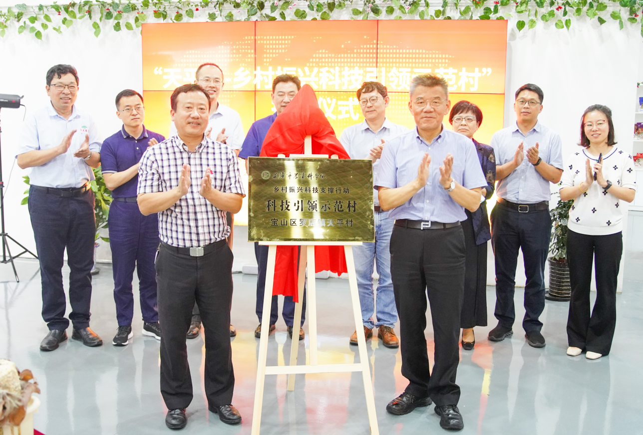 6a15fa50945841febc8961f6f636fdcf.png 6a15fa50945841febc8961f6f636fdcf.png