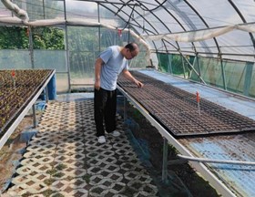 【先行区共建】园艺所科研人员赴金山区指导花菜、西兰花的育苗栽培