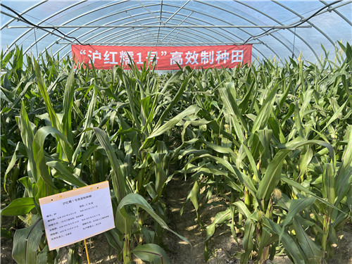 2b316a0f913c4682acb2554eb8127e88.jpg 2b316a0f913c4682acb2554eb8127e88.jpg