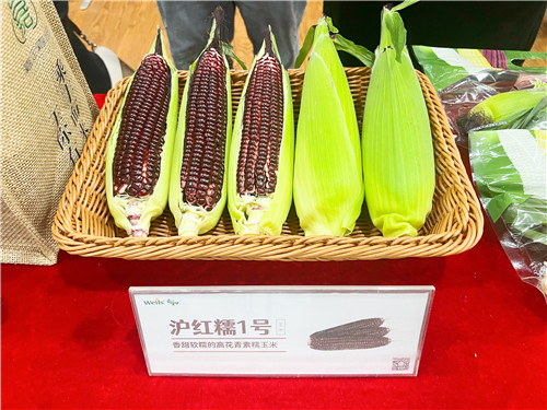 886161ca7991435498129ceb5531ff35.jpg 886161ca7991435498129ceb5531ff35.jpg