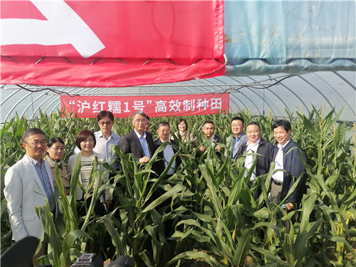 d6e20b94b7534009a015eba76aa56ef7.jpg d6e20b94b7534009a015eba76aa56ef7.jpg