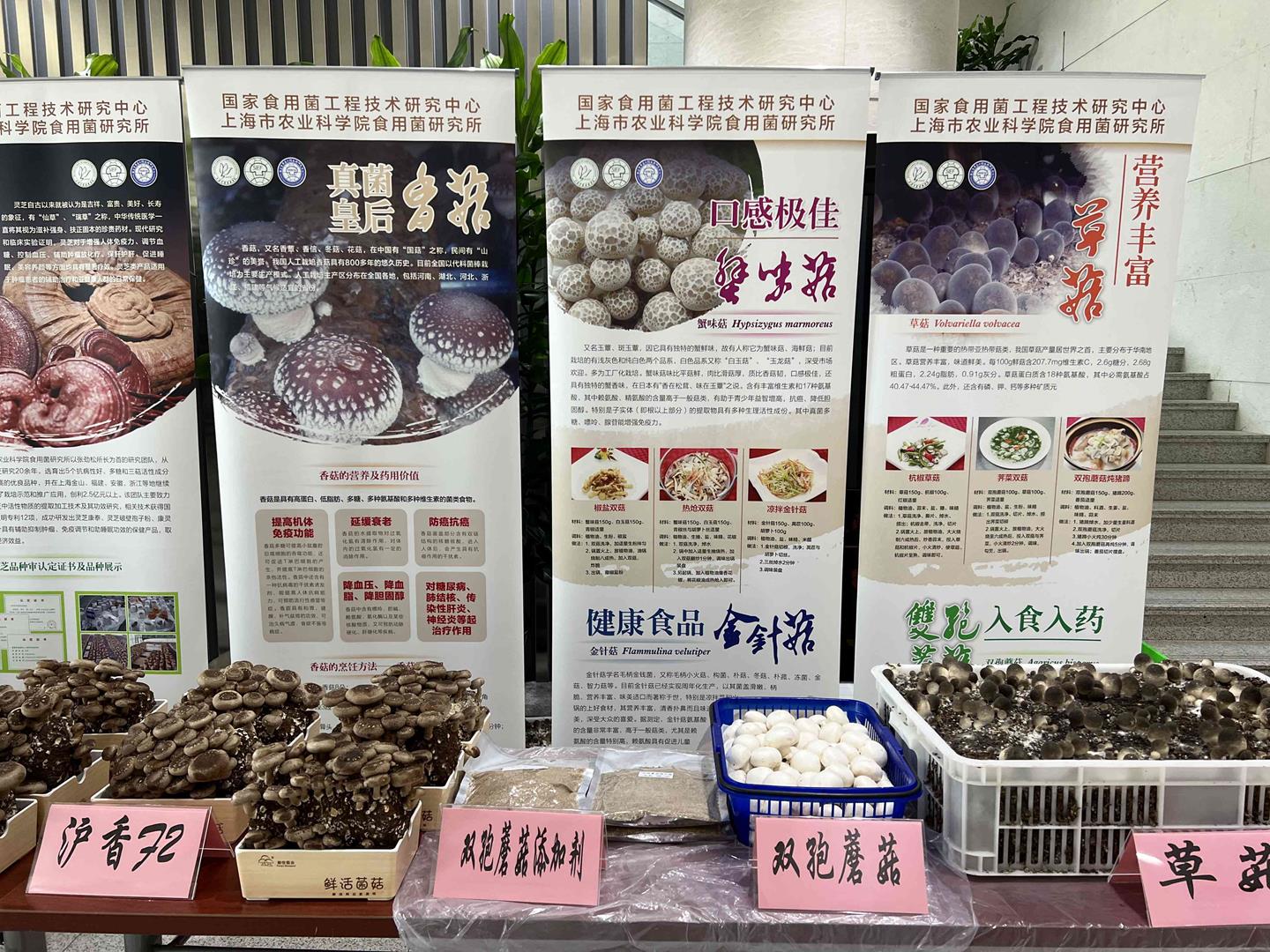 467e9ce32a064bc3bbeac866ad3da3cf.jpg 467e9ce32a064bc3bbeac866ad3da3cf.jpg