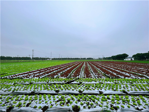 18a286f31c1744bab4e7daf3d8b93051.jpg 18a286f31c1744bab4e7daf3d8b93051.jpg