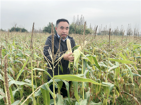 4bcfe9281b264898b768a7316dfd0f0e.jpg 4bcfe9281b264898b768a7316dfd0f0e.jpg