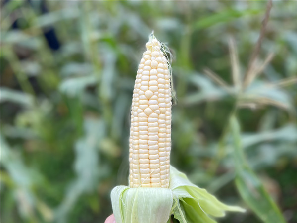 684cc9fba3004001af3235612626597f.jpg 684cc9fba3004001af3235612626597f.jpg