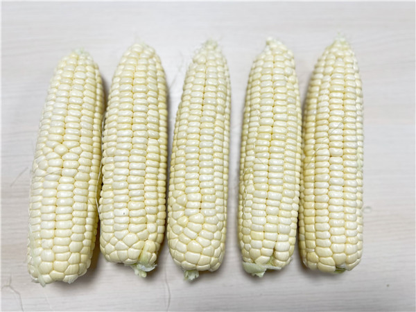 738d066074b14c99a8169da0a6f6da79.jpg 738d066074b14c99a8169da0a6f6da79.jpg