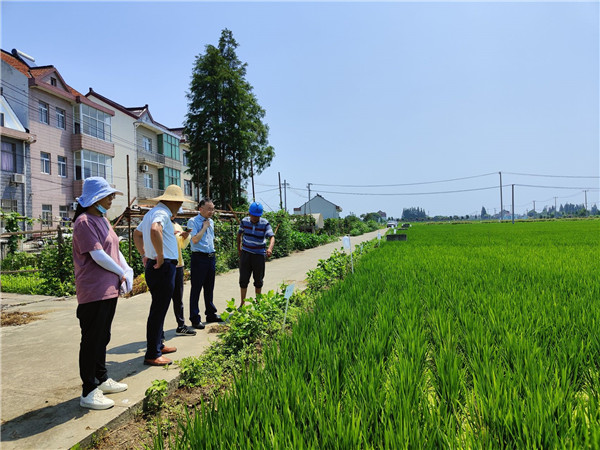 b2b8428ba7c24a0a9c0cd60240d7d23f.jpg b2b8428ba7c24a0a9c0cd60240d7d23f.jpg