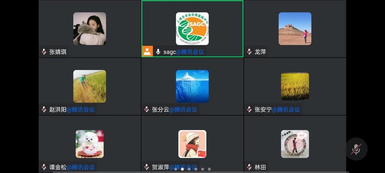 afedcf082b8f4c41a25be277fd6ad71e.Jpeg