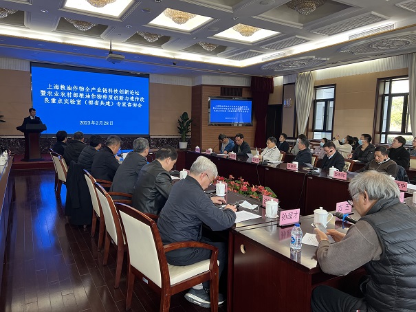 aed38f94a59f4bf0a95e931a4c129010.jpg aed38f94a59f4bf0a95e931a4c129010.jpg