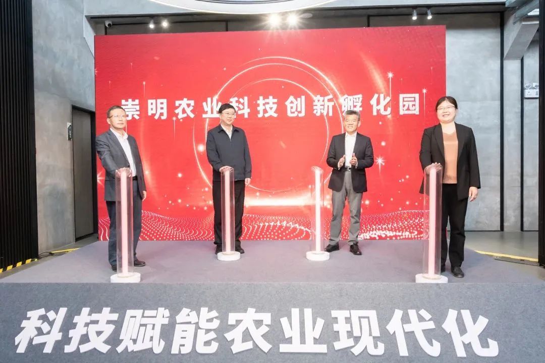 03517f781ea2486d9c55e4c451353116.jpg 03517f781ea2486d9c55e4c451353116.jpg