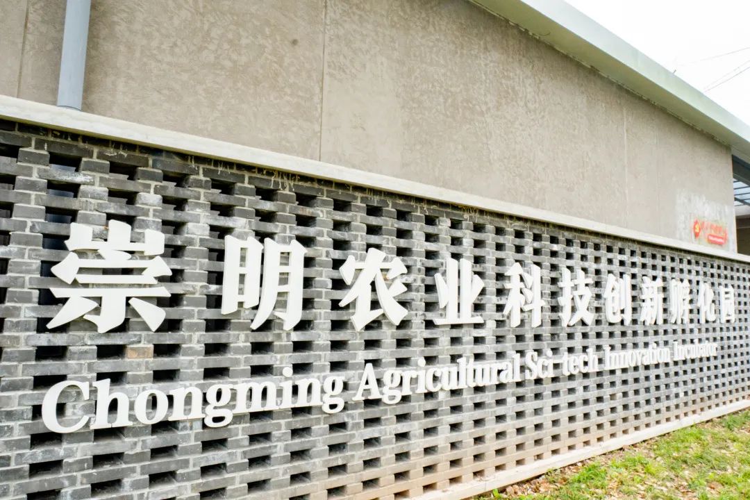 40d24e4b64334f8a95c731f219799728.jpg 40d24e4b64334f8a95c731f219799728.jpg