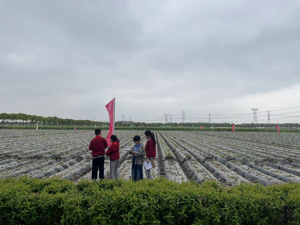 11570afa947642dfb660be5530c3cf35.jpg 11570afa947642dfb660be5530c3cf35.jpg