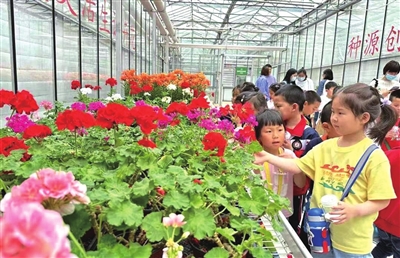 6f13ab11206347f48ff6d9569a3c6259.jpg 6f13ab11206347f48ff6d9569a3c6259.jpg