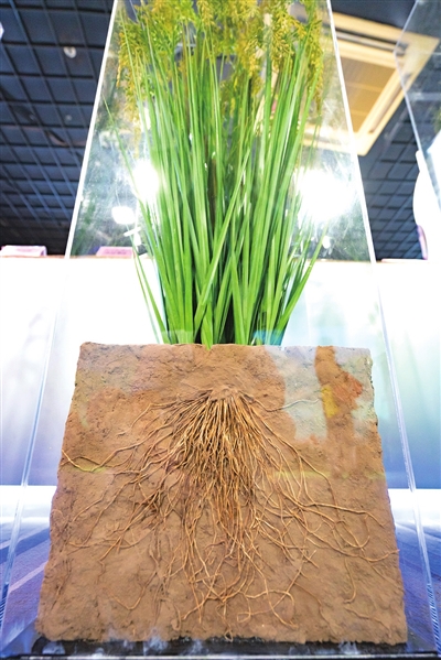 ea1df44fda7b4bf0ae6d8bd8957fa21d.jpg ea1df44fda7b4bf0ae6d8bd8957fa21d.jpg