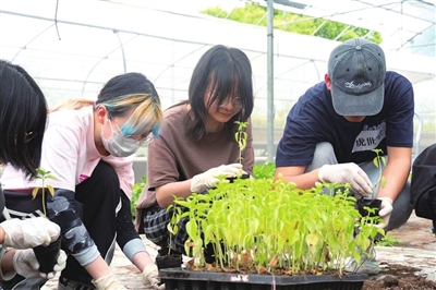 f8c7eb2dff1745ea979ba99c34d0e29e.jpg f8c7eb2dff1745ea979ba99c34d0e29e.jpg