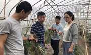 【先行区共建】生态所植物病理团队赴金山区开展乡村振兴技术服务和调研