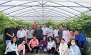 【先行区共建】国家葡萄产业技术体系上海站开展葡萄果实标准化管理技术现场培训