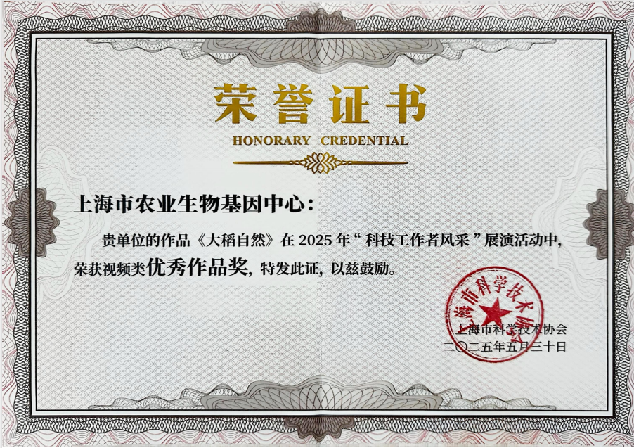 3a73dd6763d44e86bbf30b1c7a675580.Png