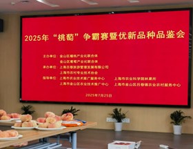 【先行区共建】林果所科技人员助力金山区“桃萄”争霸赛暨优新品种品鉴会