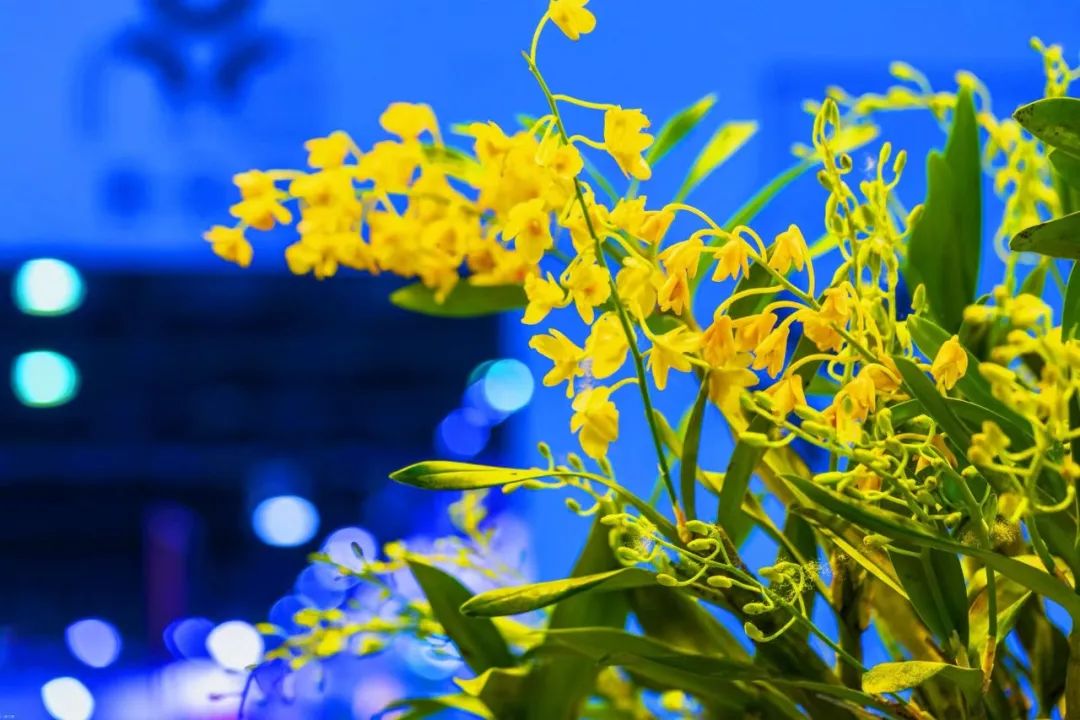 ac038d052d3242c4a071cc144fc2a398.Jpeg