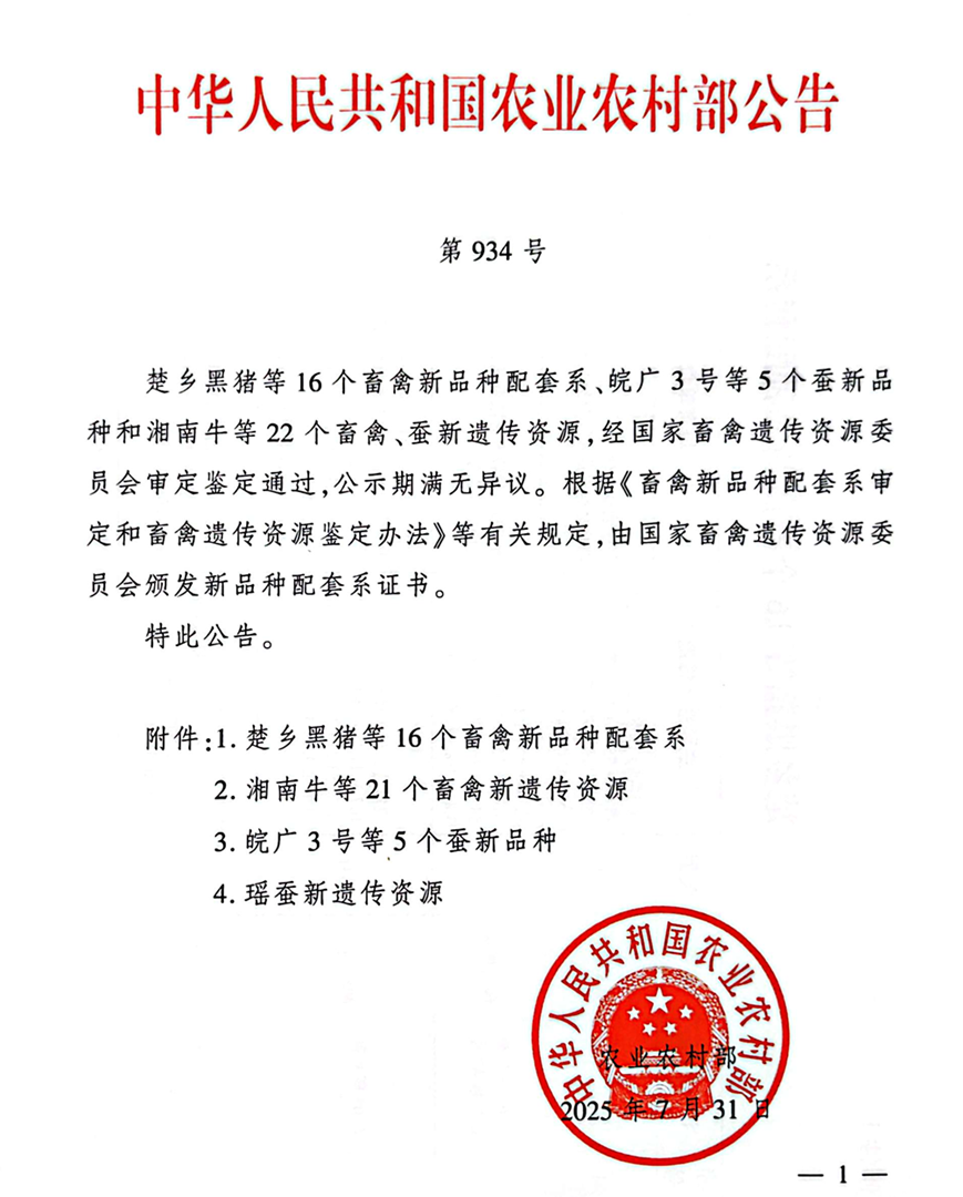 24c044574e374c88acf1abff0a7784fd.Png