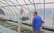 【先行区共建】园艺所科技人员赴金山开展花菜苗期技术指导