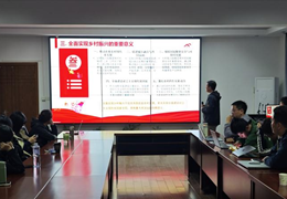 党旗领航破浪行 乡村振兴谱新篇