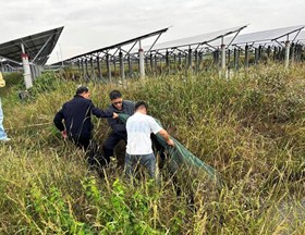 【先行区共建】生态所科技人员赴松江、金山区指导黄鳝养殖